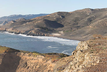 会员商店正版的ddos在线网页端